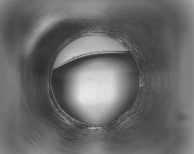 X0000062130052200512091001