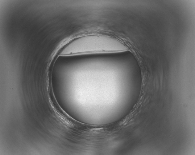 X0000062130054200512091001