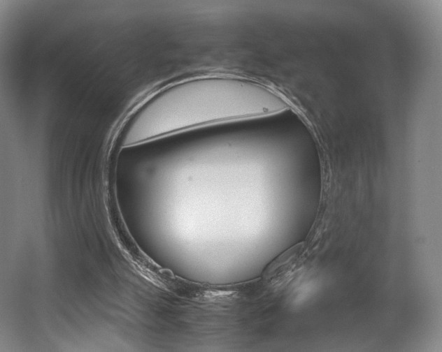 X0000062130055200512091001