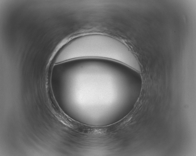 X0000062130056200512091001