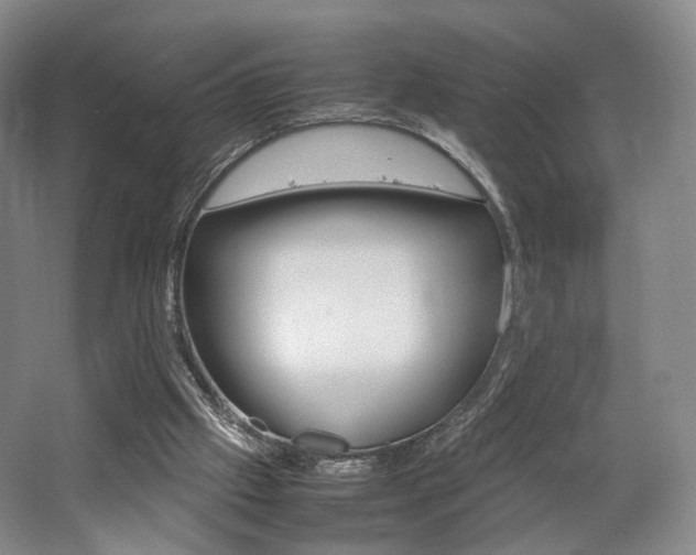 X0000062130057200512091001