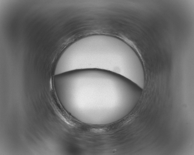 X0000062130061200512091001