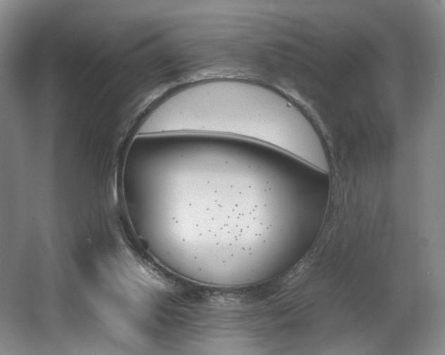 X0000062130062200512091001