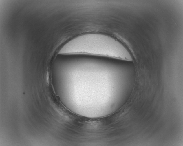 X0000062130067200512091001