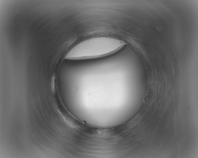 X0000062130070200512091001