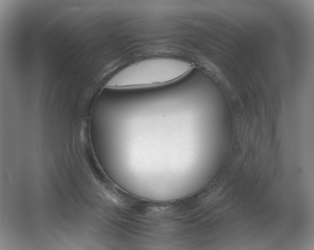X0000062130071200512091001