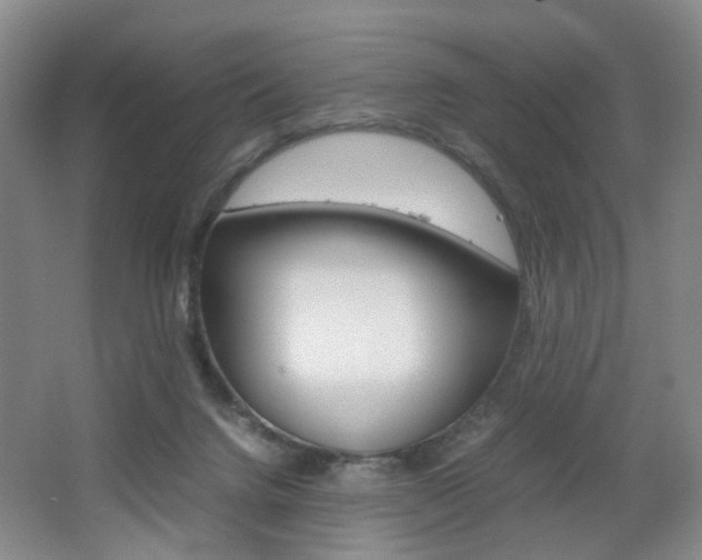 X0000062130072200512091001