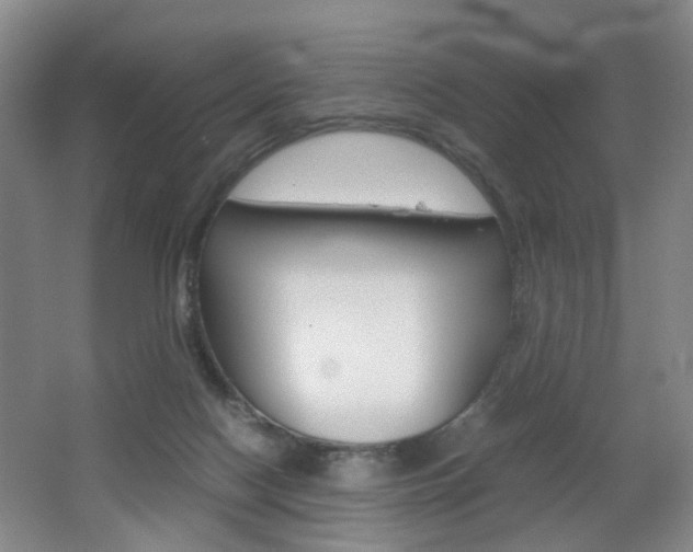 X0000062130074200512091002