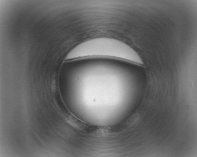 X0000062130080200512091002