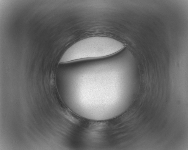 X0000062130081200512091002