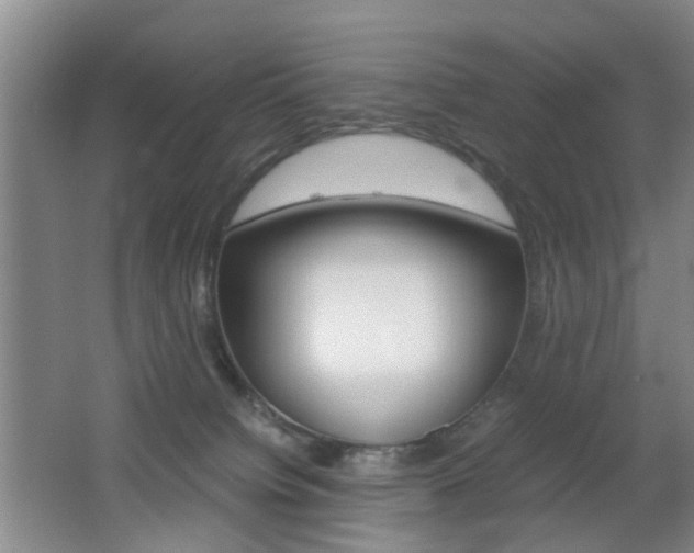 X0000062130084200512091002
