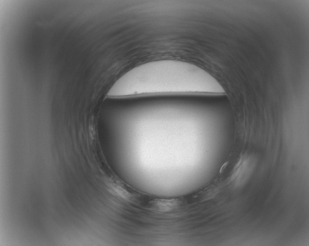X0000062130085200512091002