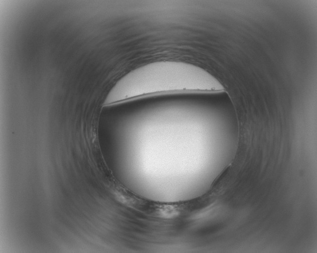 X0000062130091200512091002