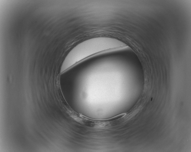 X0000062130096200512091002