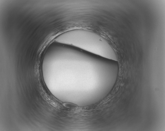 X0000062130098200512091001