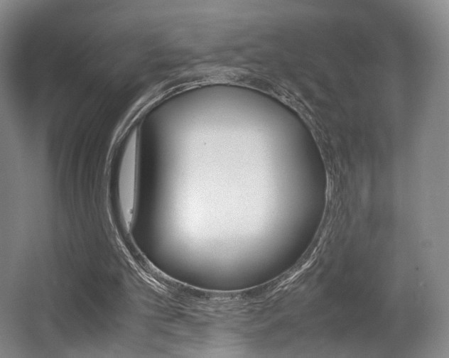 X0000062130101200512091001