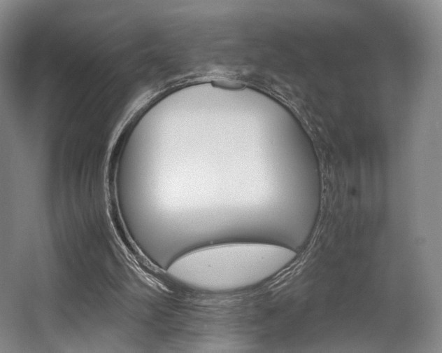 X0000062130102200512091001