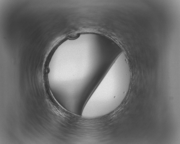 X0000062130104200512091001