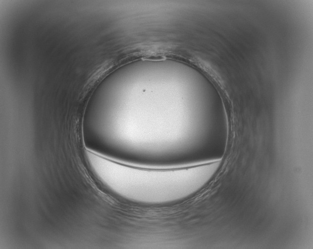 X0000062130105200512091001