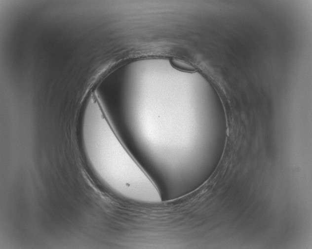 X0000062130107200512091001