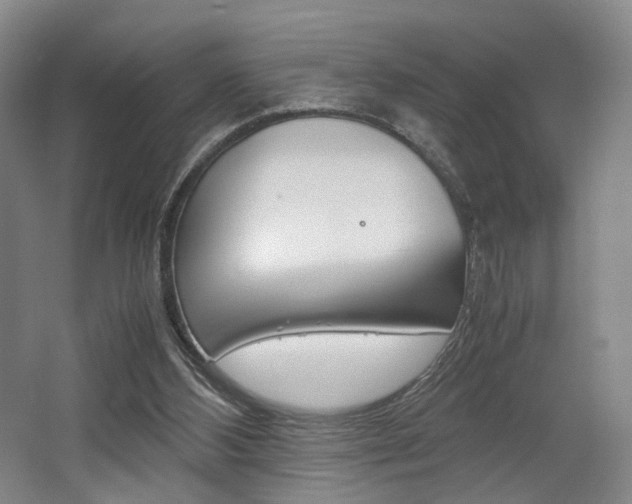 X0000062130108200512091001