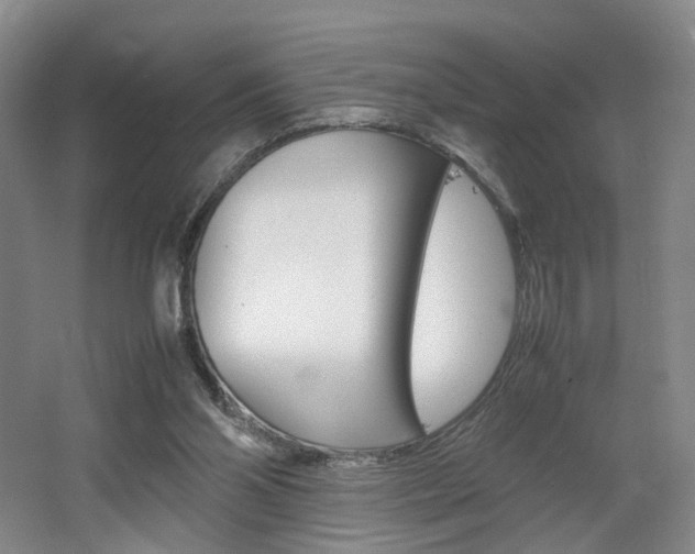 X0000062130110200512091001