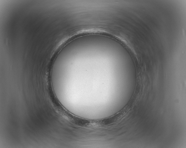 X0000062130111200512091001