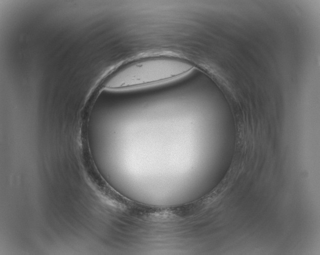 X0000062130112200512091001