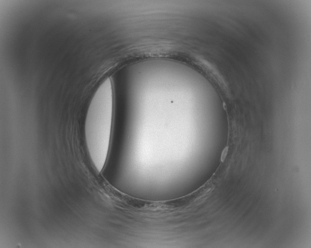 X0000062130113200512091001