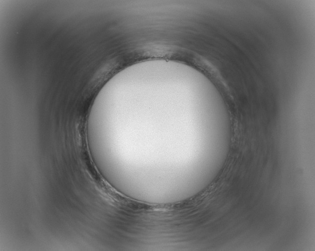 X0000062130114200512091001