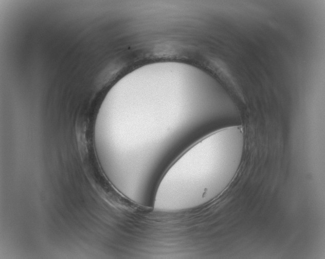 X0000062130116200512091001