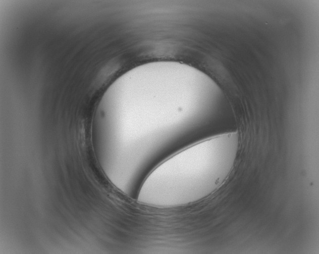 X0000062130120200512091001