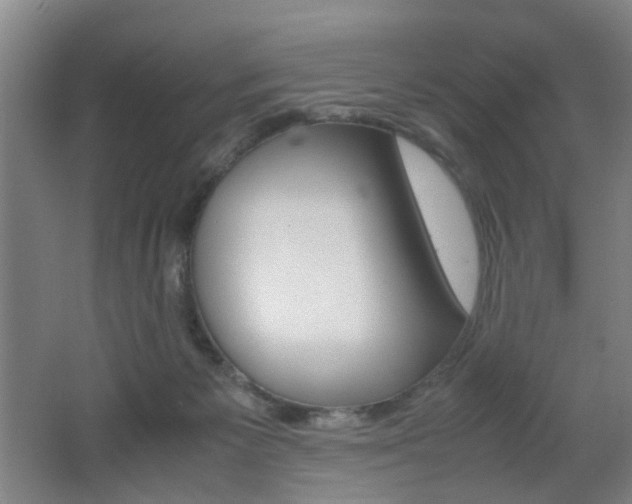 X0000062130125200512091001