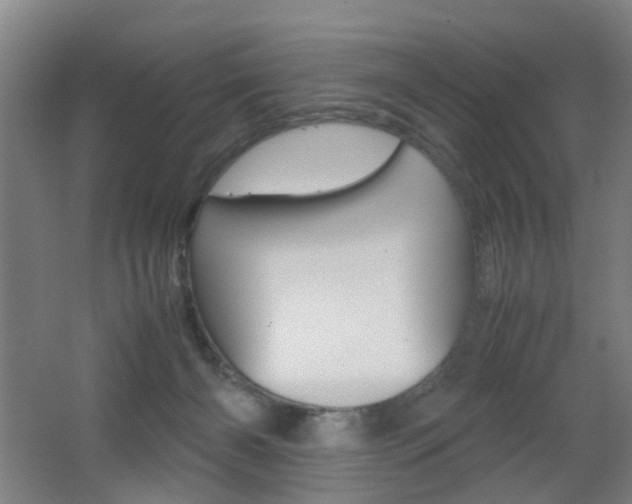 X0000062130126200512091001