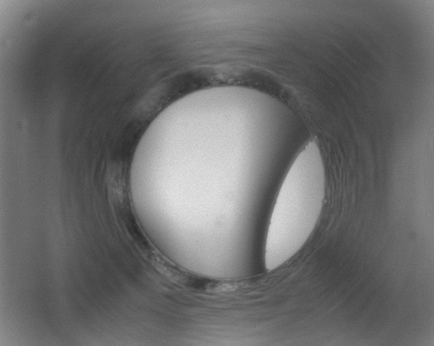 X0000062130129200512091001