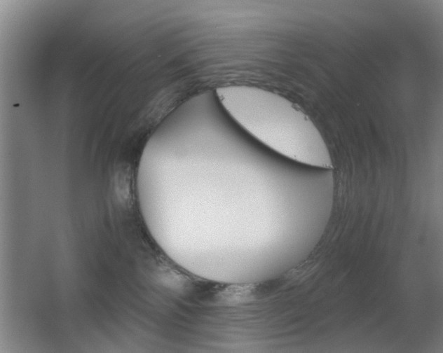 X0000062130138200512091000