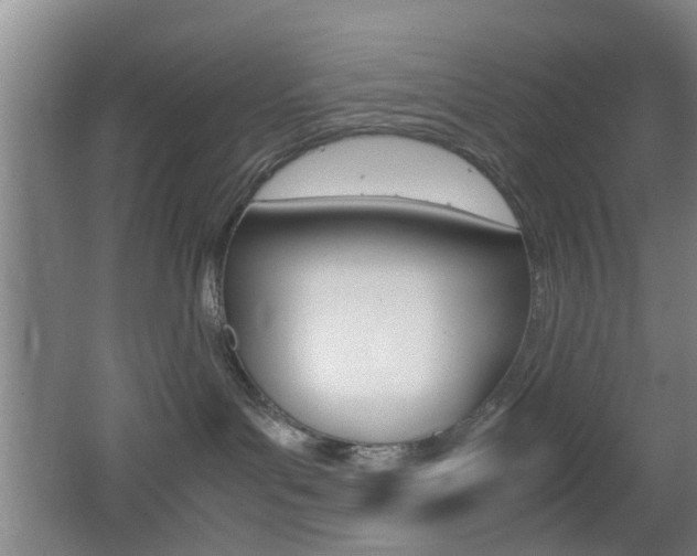 X0000062130143200512091000
