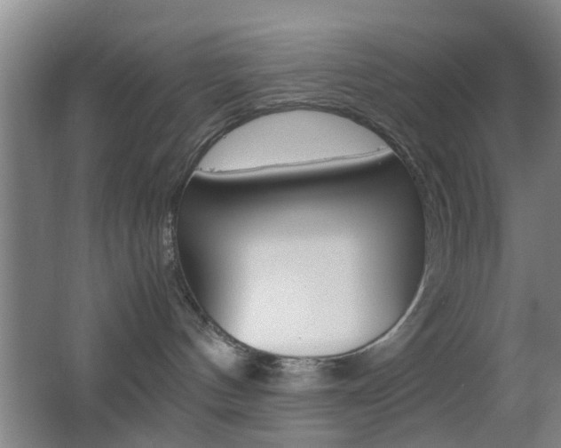 X0000062130144200512091000