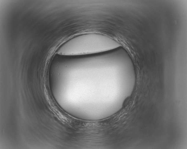 X0000062130145200512090959