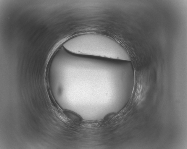 X0000062130147200512090959