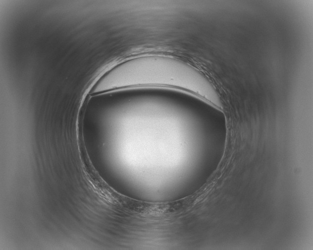 X0000062130148200512091000