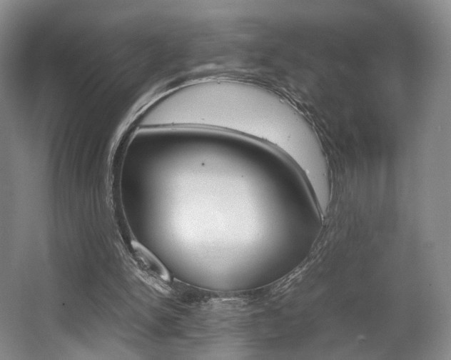 X0000062130150200512091000