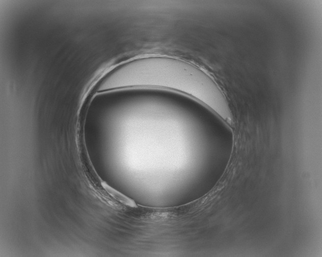 X0000062130152200512091000
