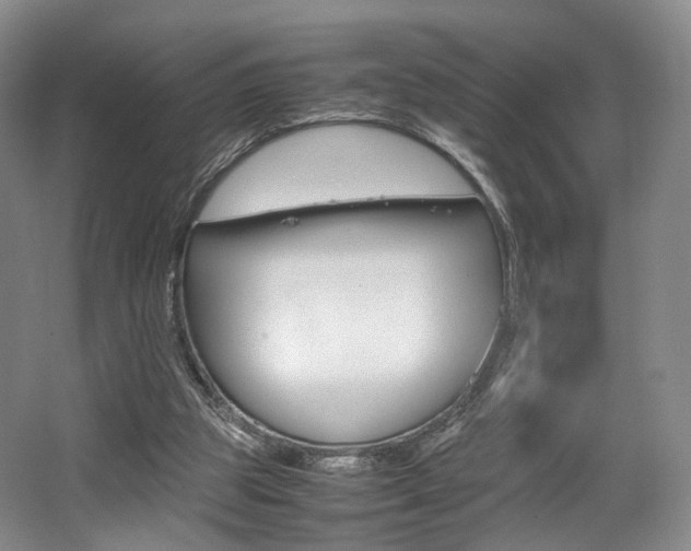 X0000062130153200512091000