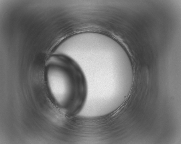 X0000062130154200512091000