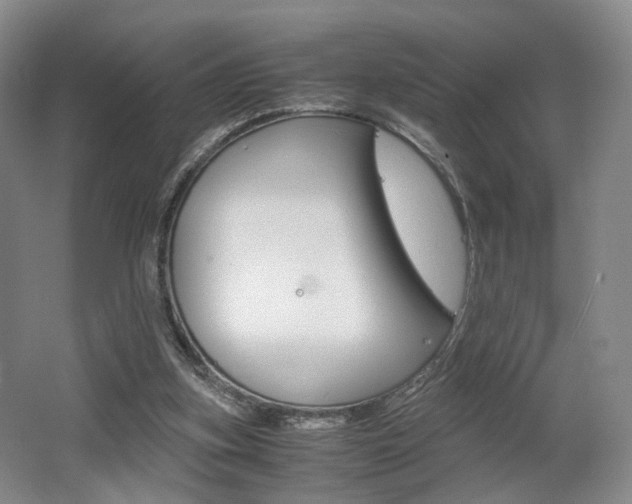 X0000062130155200512091000