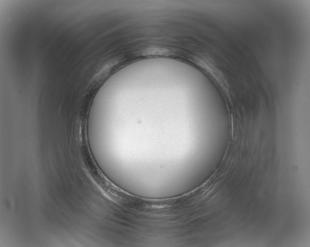 X0000062130157200512091000