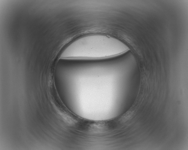 X0000062130164200512091000