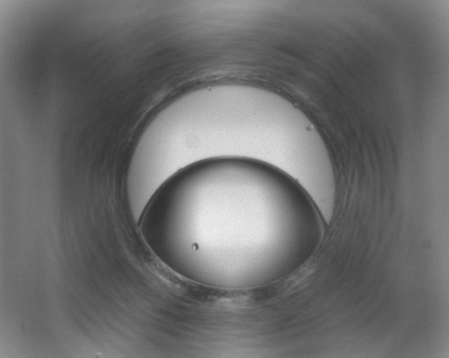 X0000062130168200512091000