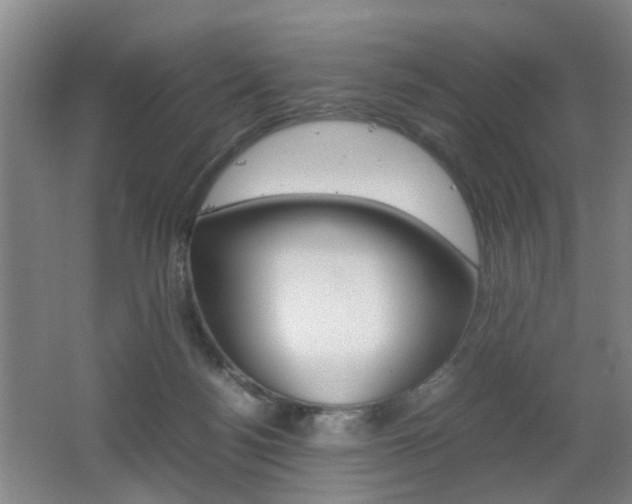 X0000062130172200512091000